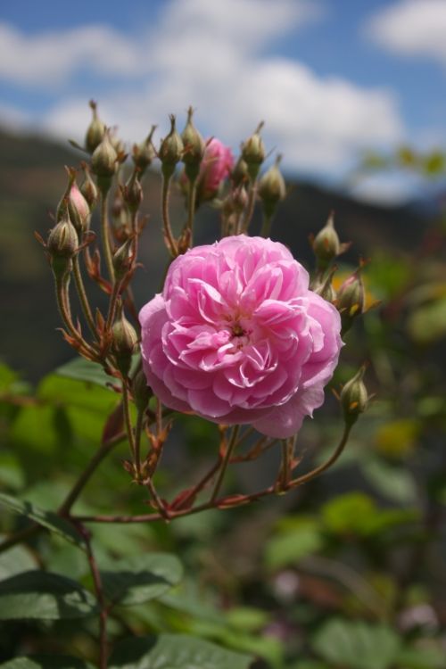 Fotografia de Preyer - Galeria Fotografica: ocio - Foto: 