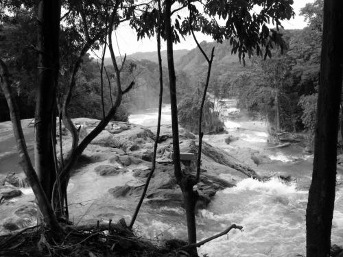 Fotografia de Elizabeth - Galeria Fotografica: en blanco y negro - Foto: 