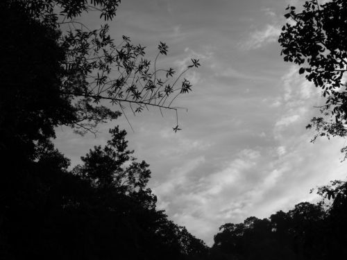 Fotografia de Elizabeth - Galeria Fotografica: en blanco y negro - Foto: 