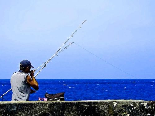 Fotografia de Alcar - Galeria Fotografica: Das de pesca - Foto: 