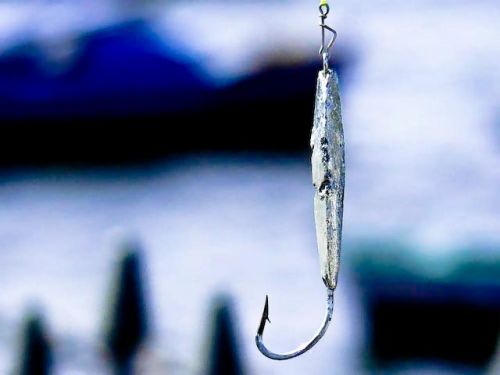 Fotografia de Alcar - Galeria Fotografica: Das de pesca - Foto: 