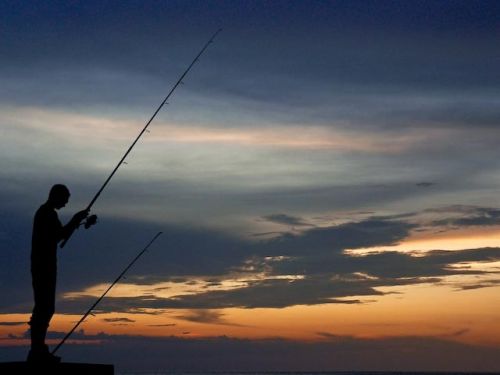 Fotografia de Alcar - Galeria Fotografica: D�as de pesca - Foto: 