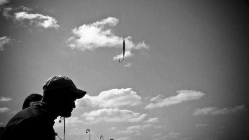 Fotografia de Alcar - Galeria Fotografica: Das de pesca - Foto: 