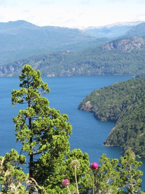 Fotografia de Marcela - Galeria Fotografica: Argentina..El sur! - Foto: 