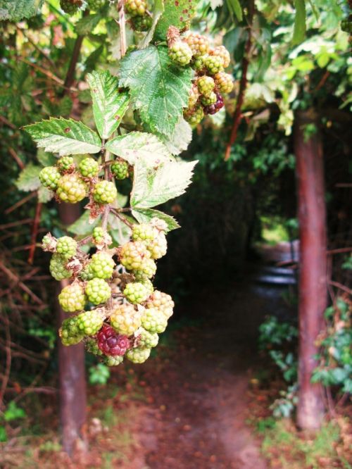 Fotografia de Marcela - Galeria Fotografica: Argentina..El sur! - Foto: 