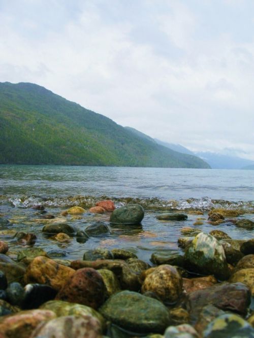 Fotografia de Marcela - Galeria Fotografica: Argentina..El sur! - Foto: 