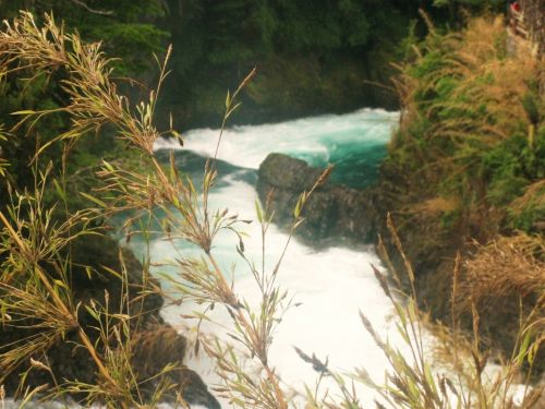 Fotografia de Marcela - Galeria Fotografica: Argentina..El sur! - Foto: 