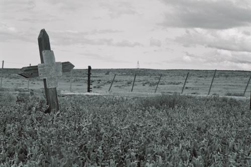 Fotografia de MJV - Galeria Fotografica: Cabo Raso : El pueblo olvidado - Foto: Uas de gato