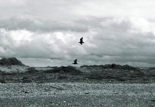 Fotografia de MJV - Galeria Fotografica: Cabo Raso : El pueblo olvidado - Foto: Juntos