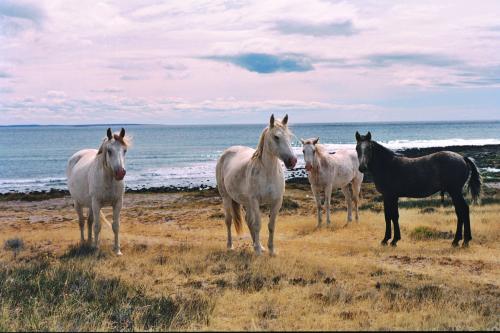 Fotografia de MJV - Galeria Fotografica: Cabo Raso : El pueblo olvidado - Foto: A color Blancos y negro