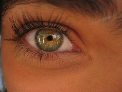 Fotografia de Mario - Galeria Fotografica: Macros... - Foto: Yo en su mirada