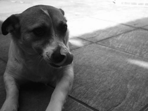 Fotografia de MaLaura - Galeria Fotografica: Pupis - Foto: Bahia