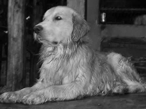 Fotografia de MaLaura - Galeria Fotografica: Pupis - Foto: Rony