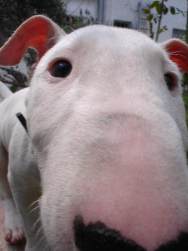 Fotografia de MaLaura - Galeria Fotografica: Newenchu - Foto: Newenchu05