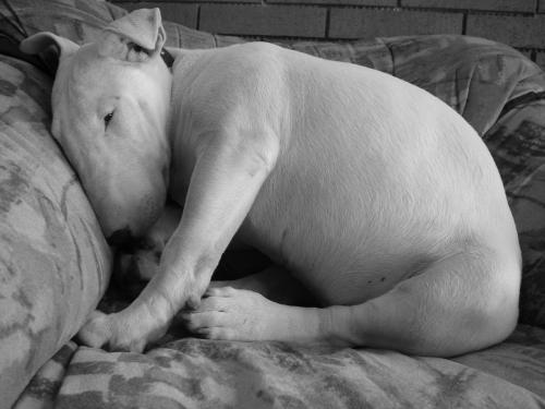 Fotografia de MaLaura - Galeria Fotografica: Newenchu - Foto: Newenchu06