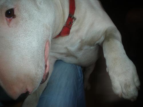 Fotografia de MaLaura - Galeria Fotografica: Newenchu - Foto: Newenchu09