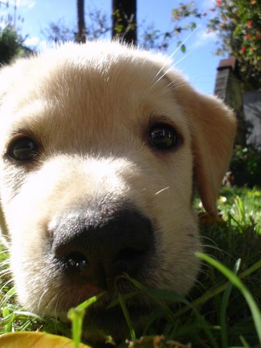 Fotografia de MaLaura - Galeria Fotografica: Danett (carpeta n�1) - Foto: Danet01