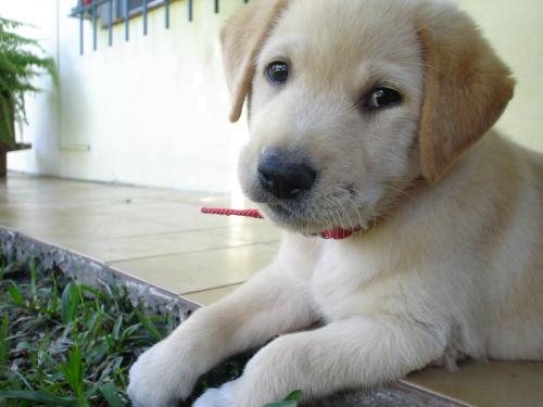 Fotografia de MaLaura - Galeria Fotografica: Danett (carpeta n�1) - Foto: Danet02