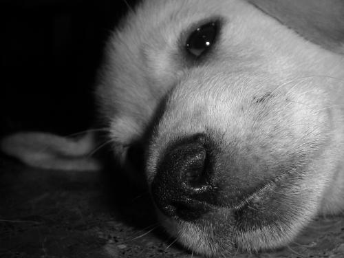 Fotografia de MaLaura - Galeria Fotografica: Danett (carpeta n�1) - Foto: Danet04