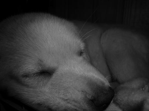 Fotografia de MaLaura - Galeria Fotografica: Danett (carpeta n�1) - Foto: Danet05