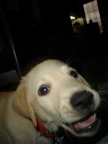 Fotografia de MaLaura - Galeria Fotografica: Danett (carpeta n�1) - Foto: Danet06