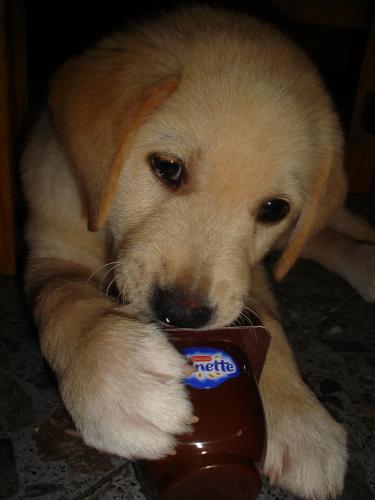 Fotografia de MaLaura - Galeria Fotografica: Danett (carpeta n�1) - Foto: Danet07