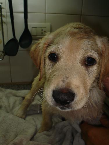 Fotografia de MaLaura - Galeria Fotografica: Danett (carpeta n�1) - Foto: Danet08