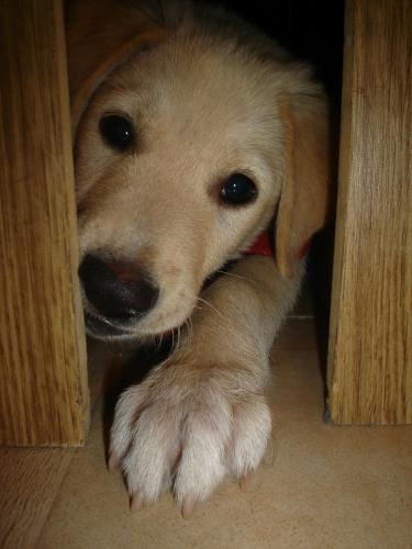 Fotografia de MaLaura - Galeria Fotografica: Danett (carpeta n�1) - Foto: Danet09