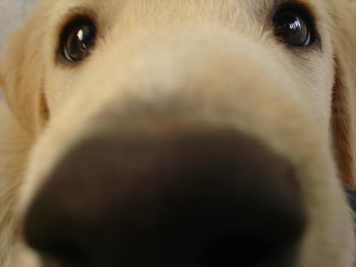 Fotografia de MaLaura - Galeria Fotografica: Danett (carpeta n�1) - Foto: Danet010