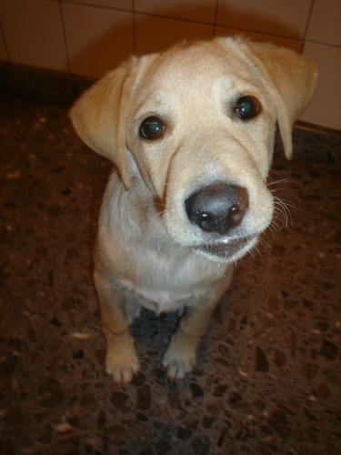 Fotografia de MaLaura - Galeria Fotografica: Danett (carpeta n�1) - Foto: Danet011