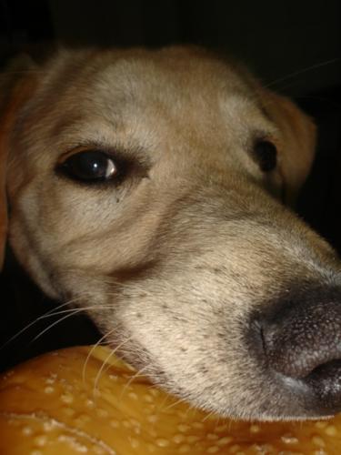 Fotografia de MaLaura - Galeria Fotografica: Danett (carpeta n�1) - Foto: Danet012