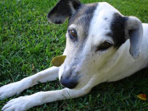 Fotografia de MaLaura - Galeria Fotografica: Pupis - Foto: Colita02