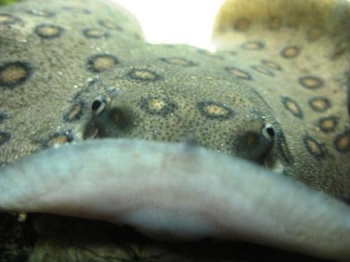 Fotografia de janeiro - Galeria Fotografica: domesticados y libres - Foto: 8