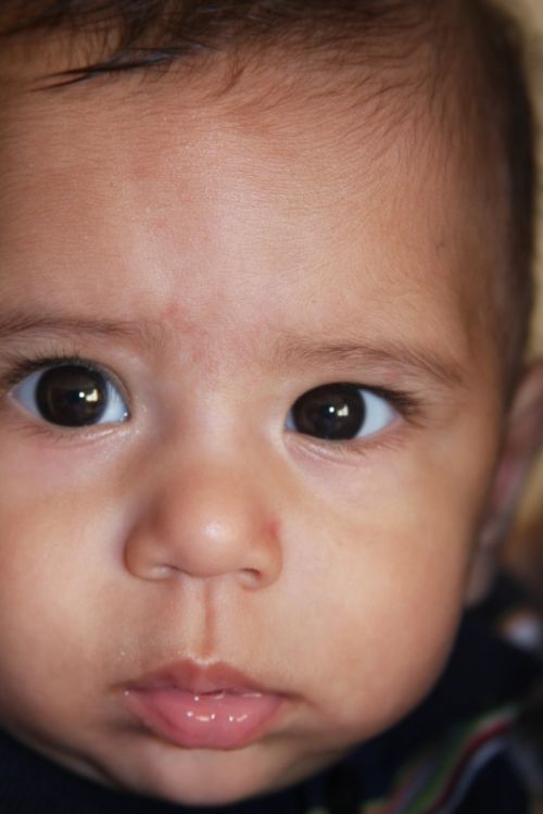 Fotografia de horacio - Galeria Fotografica: pitico - Foto: SERIEDAD