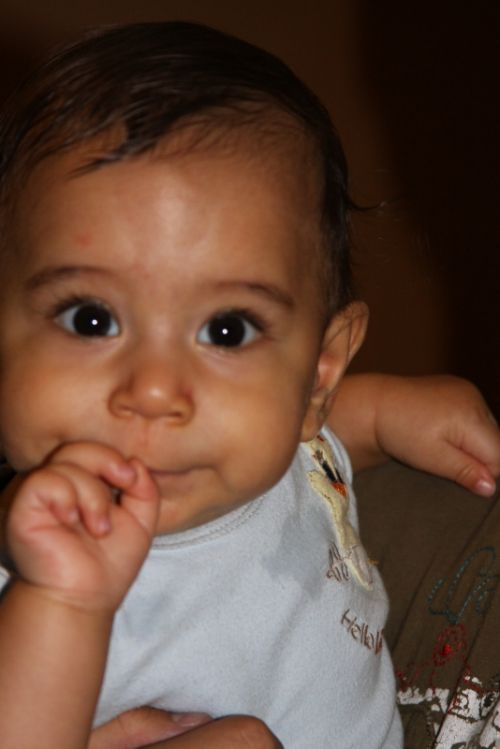 Fotografia de horacio - Galeria Fotografica: pitico - Foto: SABROSO