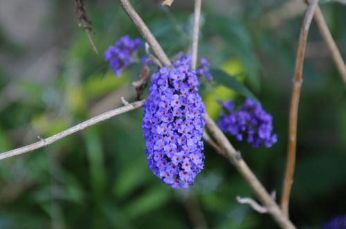 Fotografia de Fernando CB - Galeria Fotografica: Varios - Foto: 