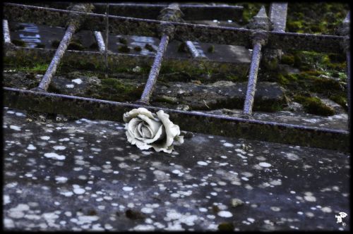 Fotografia de Gargoile - Galeria Fotografica: Fotografia de colores - Foto: www.horaciopaez.tk