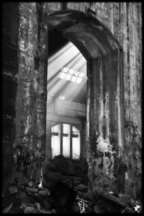 Fotografia de Gargoile - Galeria Fotografica: Fotografia de colores - Foto: www.horaciopaez.tk