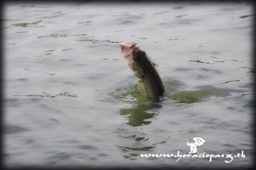 Fotografia de Gargoile - Galeria Fotografica: Fotografia de colores - Foto: www.horaciopaez.tk