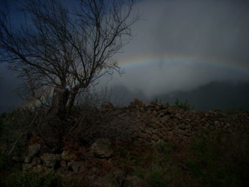 Fotografia de PhotoAl - Galeria Fotografica: THE ISLAND - Foto: 