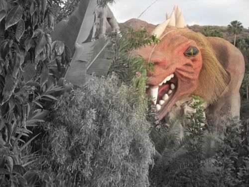 Fotografia de PhotoAl - Galeria Fotografica: THE ISLAND - Foto: 