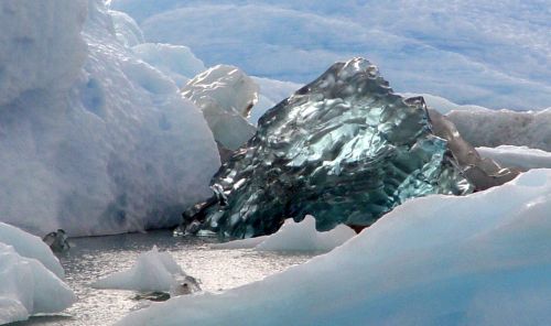 Fotografia de PhotoAl - Galeria Fotografica: ARGENTINA TOUR - Foto: 