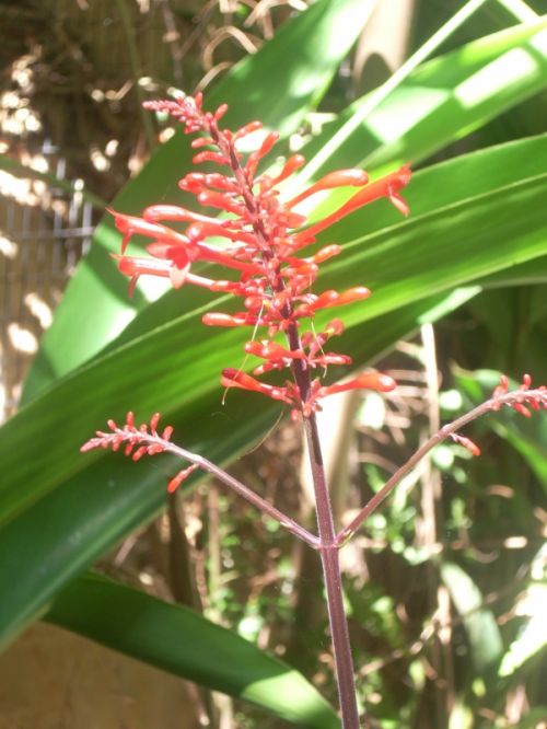 Fotografia de PhotoAl - Galeria Fotografica: IGUAZ - Foto: 