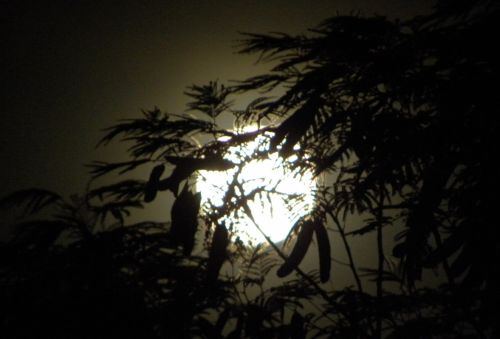 Fotografia de Mary - Galeria Fotografica: Luna llena - Foto: 