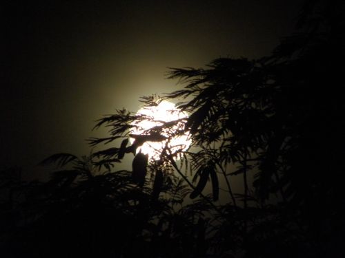 Fotografia de Mary - Galeria Fotografica: Luna llena - Foto: 