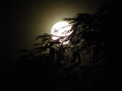 Fotografia de Mary - Galeria Fotografica: Luna llena - Foto: 