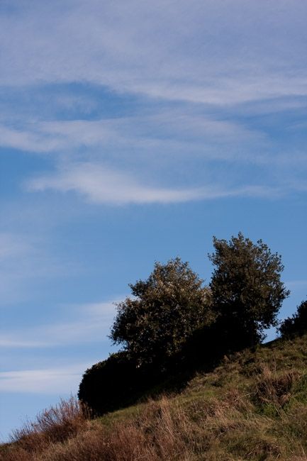 Fotografia de Giuseppe Laiolo Fotografo - Galeria Fotografica: Lanscape Tuscany - Foto: 