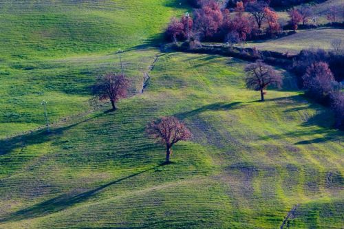 Fotografia de Giuseppe Laiolo Fotografo - Galeria Fotografica: Lanscape Tuscany - Foto: 