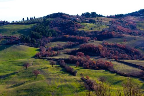 Fotografia de Giuseppe Laiolo Fotografo - Galeria Fotografica: Lanscape Tuscany - Foto: 