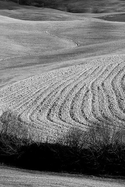Fotografia de Giuseppe Laiolo Fotografo - Galeria Fotografica: Lanscape Tuscany - Foto: 